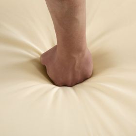 Outdoor Sectional Sofa Set Patio Conversation Set Patio Seating Group Outdoor Daybed with Adjustable Reclining Seats for Backyard