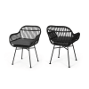 Orlando Faux Rattan Chairs (Set of 2) , Dark Gray Finish